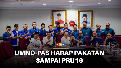 Pemuda Umno, PAS harap pakatan sampai PRU16