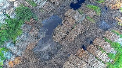 auto_deforestation_in_the_democratic_republic_of_07261141