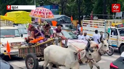 સુરતમાં ગૌમાતાને 'રાષ્ટ્રમાતા'નો દરજ્જો આપવાની માંગ સાથે નીકળી રેલી, લોહીથી લખેલા આવેદનપત્રો સાથે મોટી સંખ્યામાં લોકો જોડાયા
