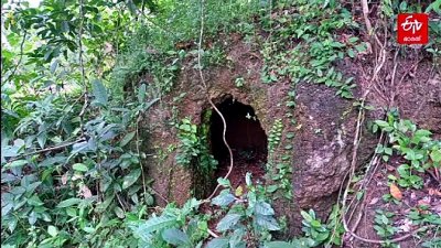 മൂവായിരം വർഷം പഴക്കമുള്ള ചരിത്രം; പയ്യന്നൂരിലെ മഹാശിലാ സ്‌മാരകങ്ങൾക്ക് പുതുജീവൻ