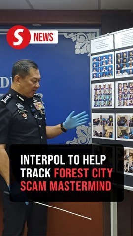 Cops to work with Interpol after busting two Forest City scam centres