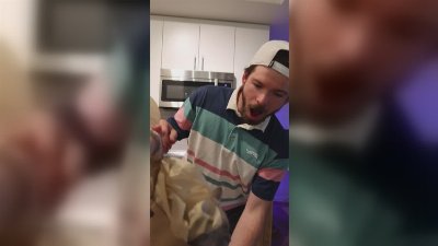 Golfer Celebrates Record Score With Surprise Ragdoll Kitten Gift