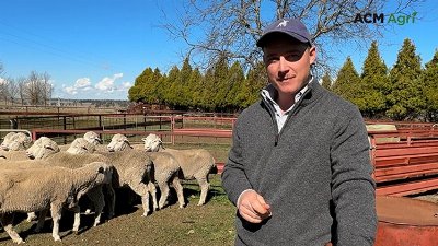 The young New England producer redefining sheep genetics