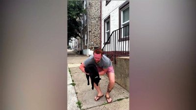Neighborhood Cat Earns Title as "mayor" of Philadelphia Street