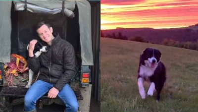Matt Baker pays tribute to dog Bob as the ‘ultimate companion’ in touching montage