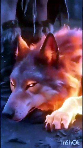 Silver Moon Wolf Princess - Ep [Full Movie]