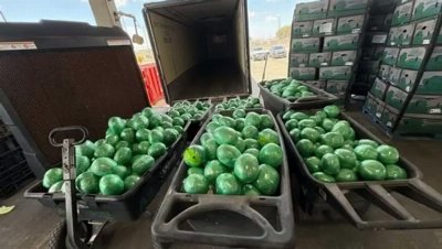 More than 2,000 pounds of meth found hidden in cabbage shipment