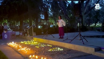 Wagga gathered to remember victims of domestic violence