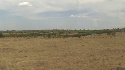 Dry spell threatens food supplies, pushes vulnerable communities to brink in Uganda