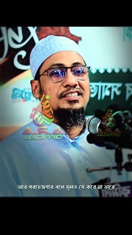 পরহেজগার হতে চান ? আনিসুর রহমান আশরাফী