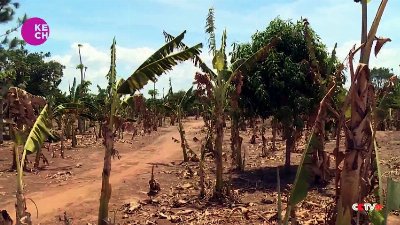 Uganda grappling with one of worst dry spell