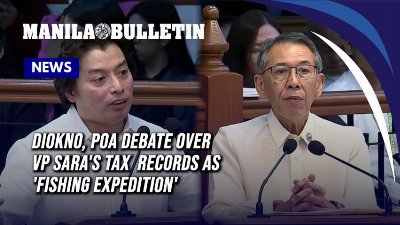 FULL: Diokno, Poa debate over VP Sara's tax records as 'fishing expedition'