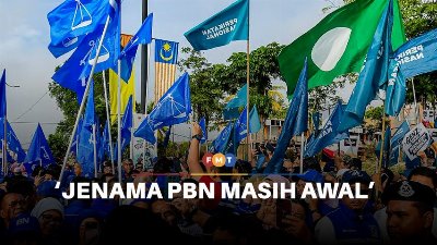 Yakinkan ahli dahulu sebelum jenamakan PBN, kata penganalisis