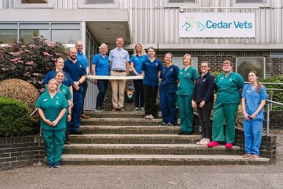 Co-owner Charlie Mitchell talks about the new 24-hour service at Cedar Vets in Alton