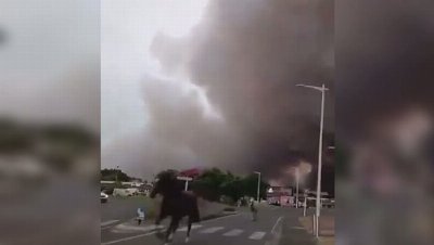 Horses run from thick black smoke as wildfires rage in France