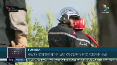 Tunisia, nearly 900 fires in the last 72 hours due to extreme heat