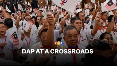 DAP can renew itself or double down on Chinese base, says Ong
