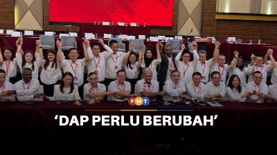 DAP perlu berubah atau kekal bergantung pengundi Cina, kata Ong