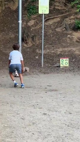 Dog Plays Soccer With Kids