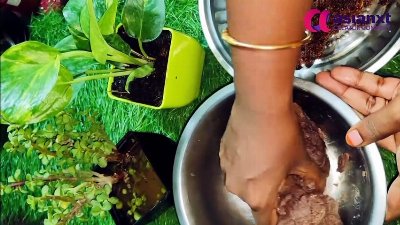 ஸ்வீட் சாப்பிடணுமா? இந்த ராகி பூரண கொழுக்கட்டையை செய்து பாருங்கள் | Healthy Dessert