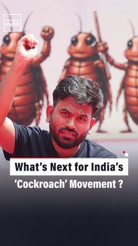 What’s Next for India’s ‘Cockroach’ Movement?