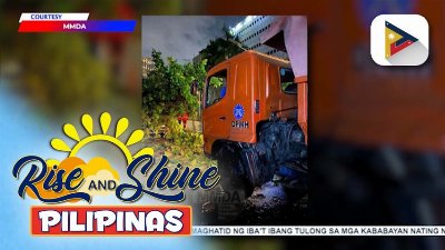 Ilang puno, natumba dahil sa malakas na buhos ng ulan at hangin sa Metro Manila | ulat ni JM Thompson