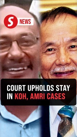 Appeals Court upholds stay of damages in Raymond Koh, Amri Che Mat cases