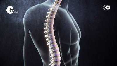 The best things you can do for back pain || DW's In Good Shape