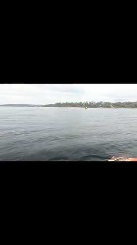 Mako Paddlers