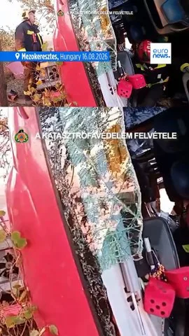 At least 12 people killed in Polish tourist bus crash in Hungary