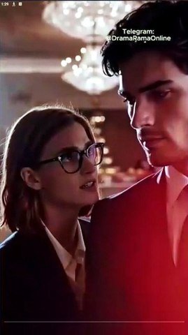 The Werewolf Ceo S Pregnant Boy Exclusive Executive Eps 🌟 EXECUTIVE EPS  🌟