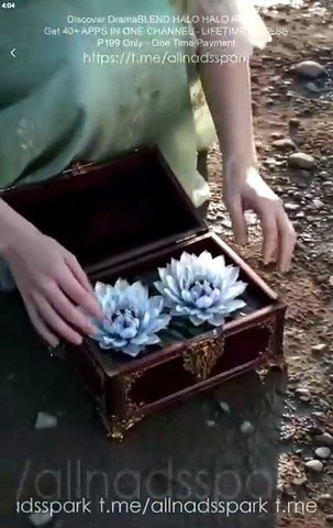 Covenant Of The Moon Goddess- Drama FULL MOVIES ENGLISH SUB [Full Movie]